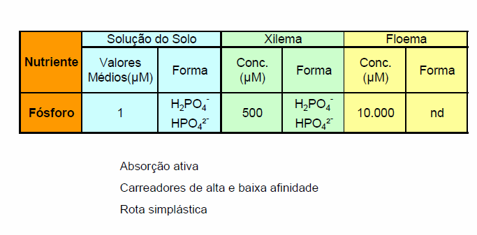 Concentração e formas de fósforo na solução do