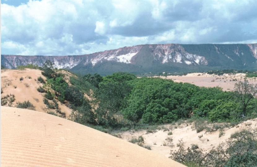 Rochas São definidas como quaisquer agregados naturais sólidos, compostos