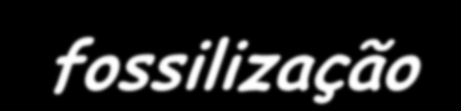 Mas como é que se dá a transformação de um ser vivo num fóssil?