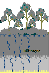 Infiltração de água no solo Processo pelo qual