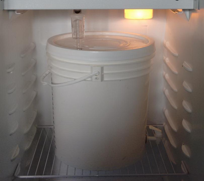 percurso no interior do chiller em altas temperaturas e o finaliza no fermentador com temperatura de 19 C. Com o mosto no interior do fermentador, fez-se a leitura da densidade inicial.