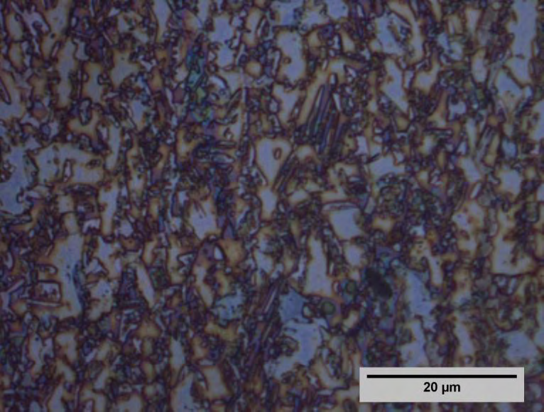 78 superfície apresenta diferentes graus de intensidade do ataque químico, resultado da heterogeneidade do filme de reagente sobre o material causado pela secagem com ar frio forçado.