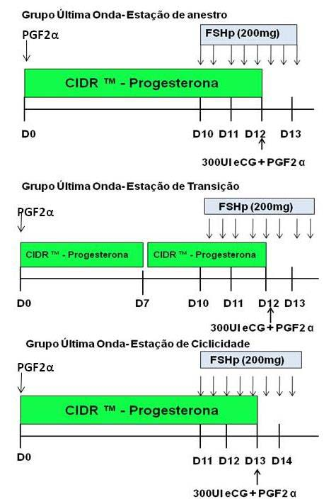 20 CIDR -Progesterona CIDR - Progesterona CIDR - Progesterona CIDR -Progesterona Figura