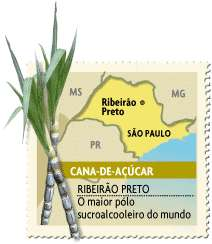 Concreto no campo Há alguns anos o construtor José Roberto Pereira Alvim notou que o agronegócio fazia surgir uma nova classe média alta nos grandes pólos urbanos do interior.