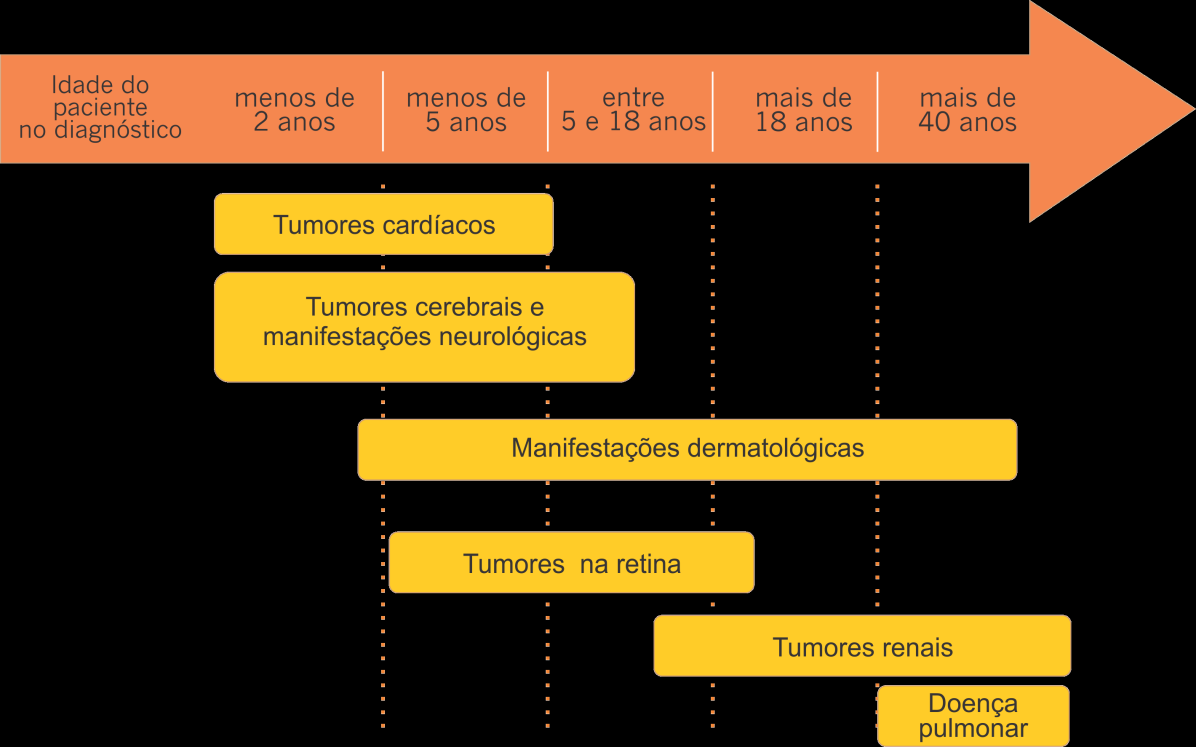 Manifestações da