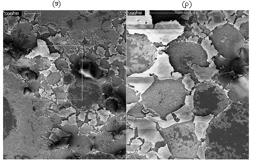 62 A Figura 23 apresenta a fotomicrografia da estrutura da espuma seca contendo o precipitado resultante da flotação com,5x1-4 M de Cr 3+, 1x1-4 M de DSS,,1% v/v de etanol.