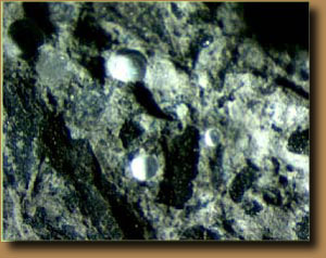 Reação álcali-agregado Microscopia Ótica Poros na argamassa revestido com produto branco (6,4 X) As análises microscópicas petrográficas do agregado e das barras de argamassa são