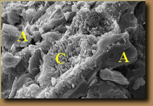 Reação álcali-agregado Microscopia Eletrônica de Varredura Gel Amorfo no