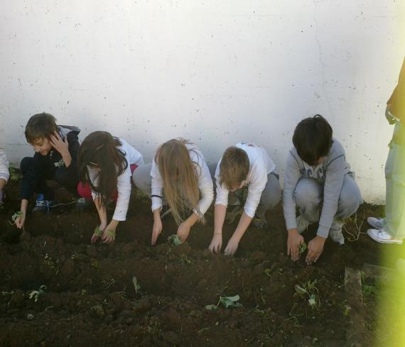 Figura 5: Alunos em atividades agrícolas. 1.3 População Este ano lectivo 2013/2014 frequentam a Escola 99 alunos distribuídos por 4 turmas (1º/D, 2º/D, 3º/E, 4º/C).