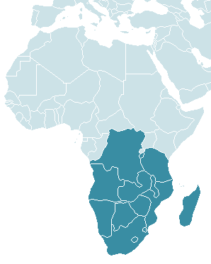 Fig.1 - Países da SADC África do Sul Angola Botswana Congo, RD Lesotho Madagáscar Malawi Maurícias Moçambique Namíbia Seychelles Suazilândia Tanzânia Zâmbia Zimbabwe Já na vertente das exportações