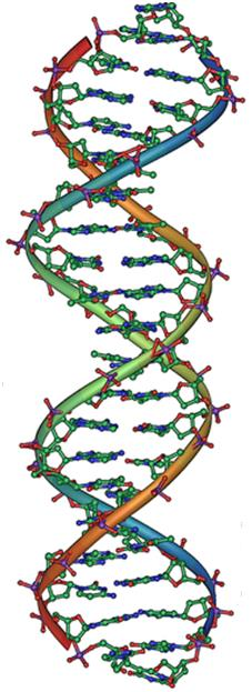 Investigação Genética em organismos geneticamente modificados é