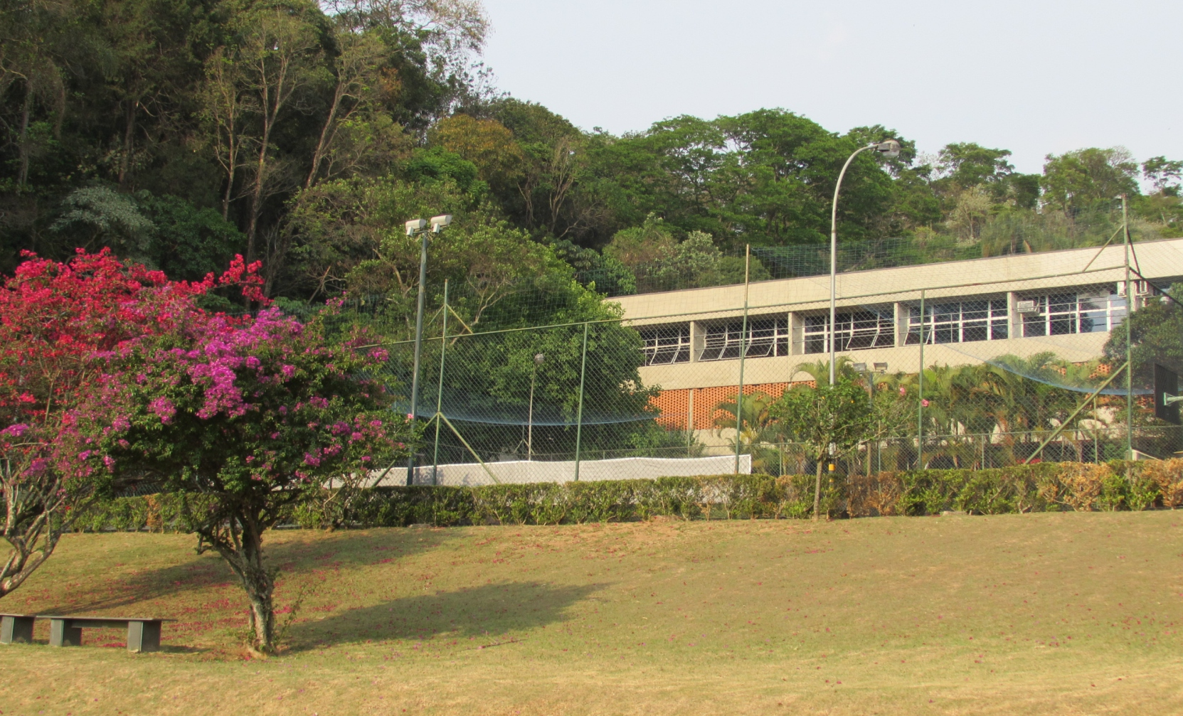 Escola SENAI Alfried Krupp O SENAI "Alfried Krupp" surgiu graças aos esforços conjuntos de duas instituições atuantes na área educacional: a Fundação Alfried Krupp Von Bohlen und Halbach de origem