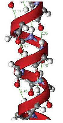 Figura 2: representação da estrutura alfa hélice de uma proteína. Figura 3: Representação da estrutura folha beta de uma proteína.