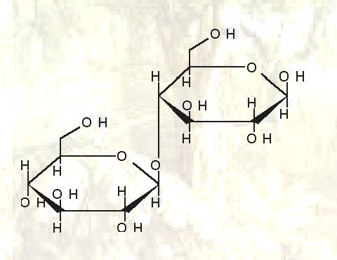 Celulose