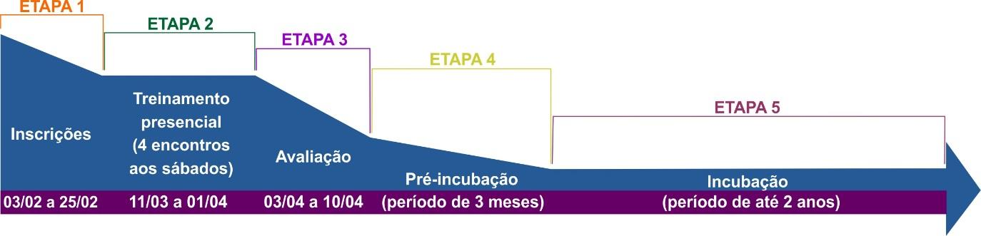 6. Processo de Seleção O Processo de Seleção para o Programa de Incubação se dará em 5 (cinco) etapas, conforme quadro abaixo: Figura 1 