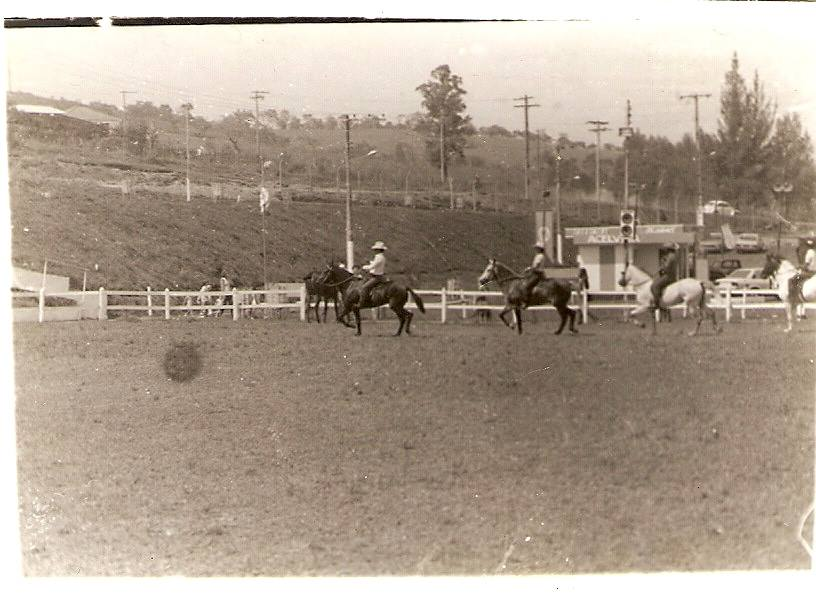 E assim, tomamos conhecimento que o cavalo pampa sempre esteve presente, a todo o momento se fazendo influente, faltando talvez em certo instante o reconhecimento devido.