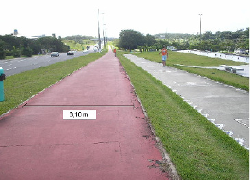 65 A ciclovia da avenida paralela, devido a má localidade, no canteiro central de uma via de trânsito rápido, tem no acesso a sua principal inconveniência.