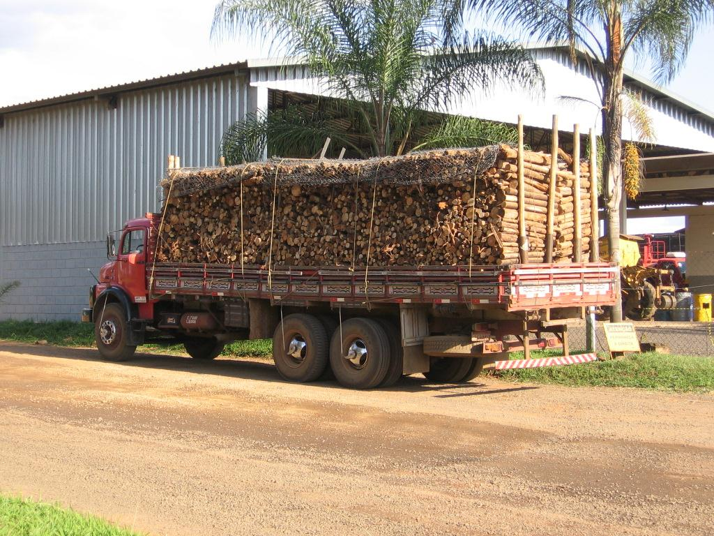 Influência do tratamento térmico nas características energéticas de resíduos lenhosos de eucalipto e pinus: poder calorífico e redução