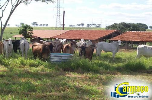 Bebedouro Australiano com Fundo Cônico Capacidade de 500 à 4.