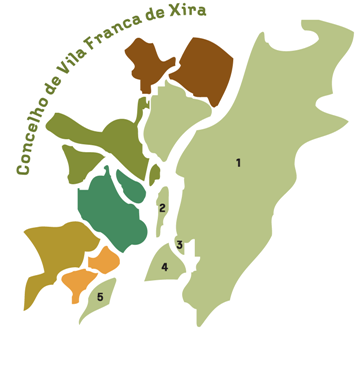 1. INTRODUÇÃO E ENQUADRAMENTO HISTÓRICO O Concelho de Vila Franca de Xira, situado no distrito de Lisboa, tem uma área de 317,7 km 2 e uma população residente de 136.