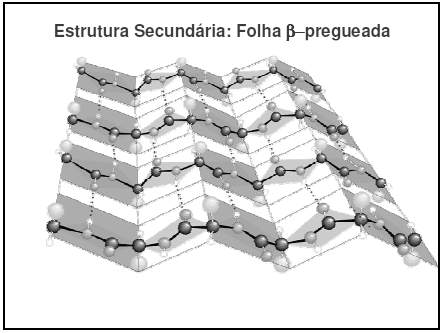 . 19 Níveis estruturais das proteínas 20 aminoácido Estrutura primária: é a sequência dos aminoácidos na cadeia polipeptídica; mantida por ligações peptídicas É o esqueleto covalente (fio do colar),