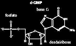 Seqüênciamento de DNA Foi desenvolvido após o conhecimento de poder separar os