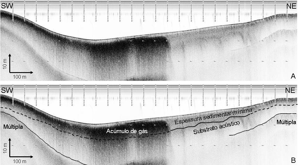 Vale ressaltar que a interpretação dos perfis sísmicos foi dificultada devido à fraca penetração dos sinais acústicos em sub-superfície, devido à ocorrência de gás, provavelmente metano, proveniente