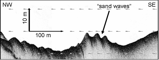 Figura 17 Perfil sísmico do Canal do Paraguaçu com destaque para as sand waves.