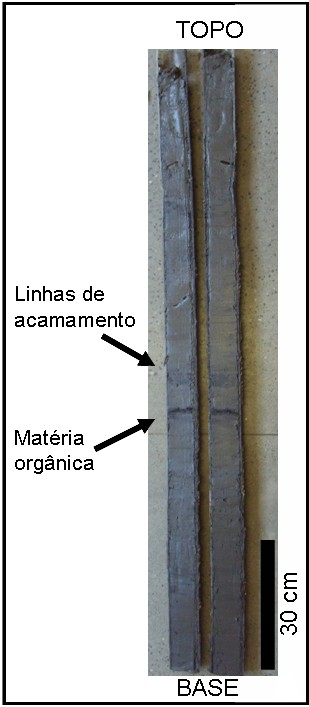 5.3 TESTEMUNHOS RASOS A descrição dos testemunhos rasos é apresentada a seguir: 5.3.1 TESTEMUNHO T1 O testemunho T1 (Fig. 23), coletado entre a Baía de Iguape e o início do Canal do Paraguaçu (Fig.