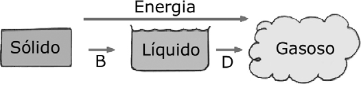 Texto 2 Este texto complementa o texto 1, leia-o atentamente e preencha as lacunas com palavras de forma que o texto fique compreensível.