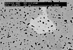 Figura 10. Fe-7Ni (Ts = 1100ºC t = 30 min) Figura 10. Fe-7Ni (Ts = 1200ºC t = 30 min) Na Fig. (10), tem-se claramente uma amostra mais homogênea do que aquela apresentada na Fig.