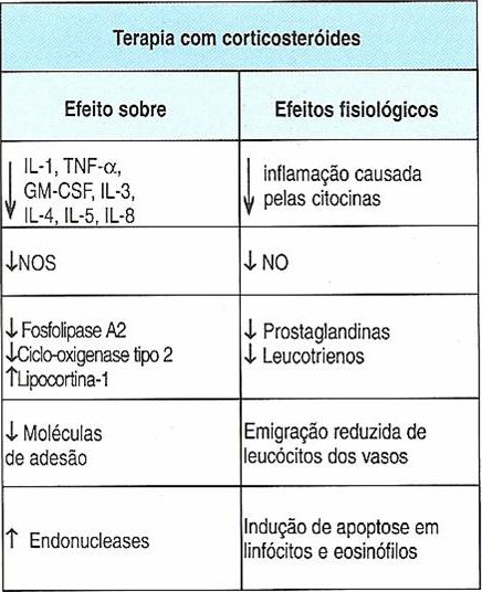 ANTIINFLAMATÓRIOS esteroidais Lipocortina-1 (anexina 1)