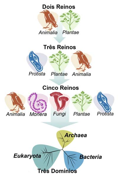 Tema 1 A Natureza da Ciência 15 Antes de Galileu desafiar o sistema, o geocentrismo era a regra.