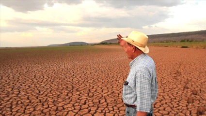 ultrapassa os cinco mil hectares.