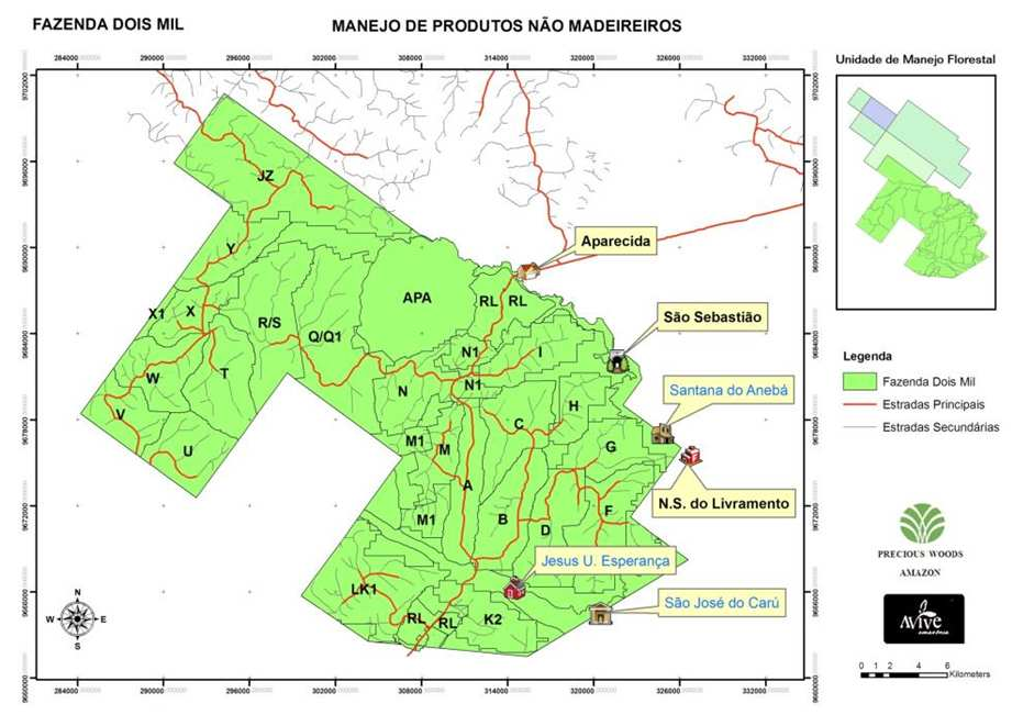 // Manejo Florestal de Produtos Não Madeireiros // Com o objetivo de atender essas demandas, a empresa está realizando desde 2010 o manejo de produtos florestais não madeireiros, todo focado para