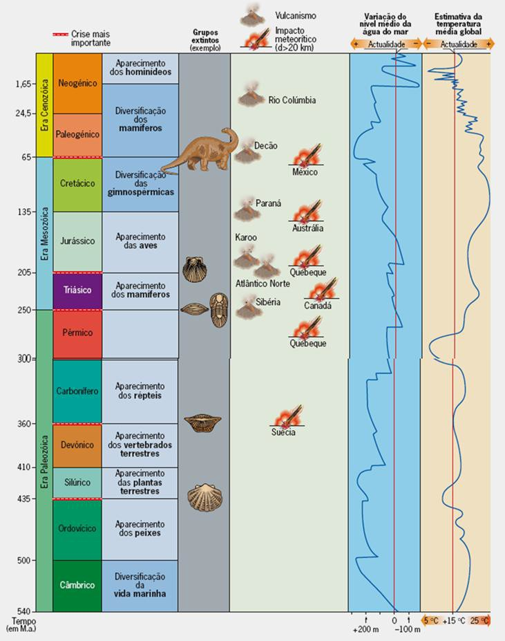 Grandes divisões marcadas por mudanças significativas: