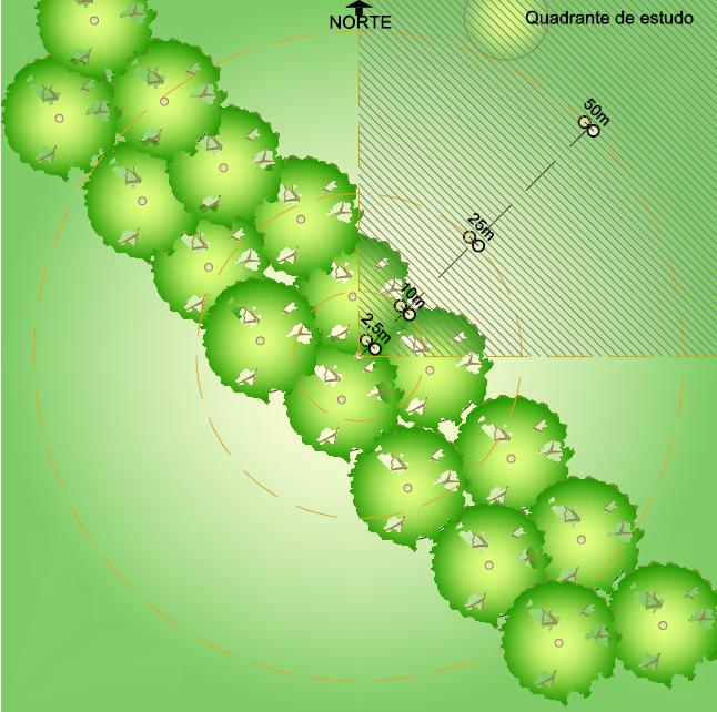 Os parâmetros ambientais coletados do indivíduo arbóreo foram: temperatura do ar, temperatura de globo, umidade relativa do ar, em posições fixas à sombra, a,5m, e ao sol, a 1m, 5m e 5m do tronco da