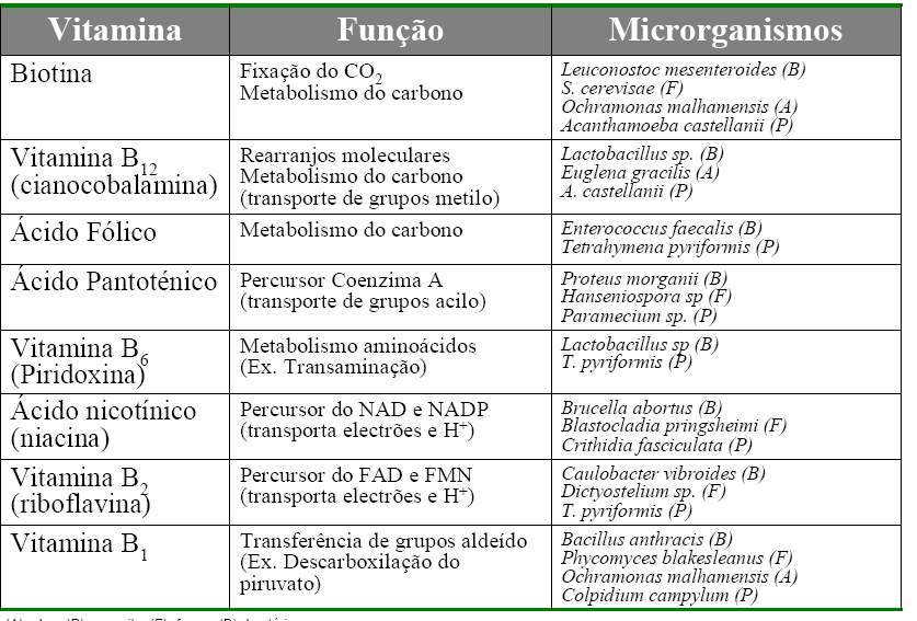 Vitaminas requeridas pelos