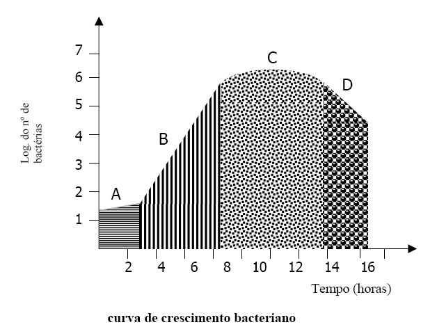CURVA DE CRESCIMENTO BACTERIANO Quando uma bactéria é semeada em um meio apropriado, nas condições apropriadas, o seu crescimento segue uma curva definida e característica: A Fase LAG: pouca divisão