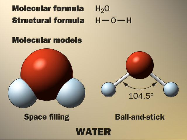 ESTRUTURA DA MOLÉCULA DE ÁGUA A molécula de água possui dois átomos de hidrogênio ligados covalentemente ao