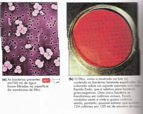 MÉTODOS PARA QUANTIFICAR O CRESCIMENTO QUANTIFICAÇÃO DIRETA: MÉTODOS PARA QUANTIFICAR O CRESCIMENTO (2) FILTRAÇÃO - < nº de bactérias = pode ser utilizado o método de filtração para a sua contagem.