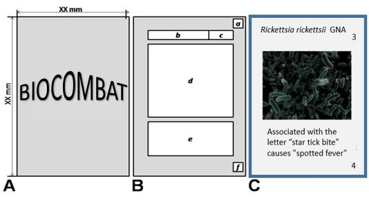 CONFECÇÃO E CONTEÚDO DAS CARTAS As cartas de Biocombat foram confeccionadas de papel A4. As figuras, em sua maioria, foram retiradas do site Wikimedia.