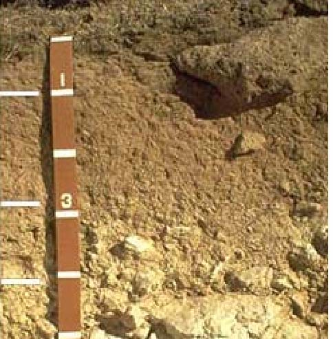 Fragipã - Horizonte subsuperficial. - 10 cm ou mais de espessura - apresenta-se cimentado quando seco -consistência dura, muito dura ou extremamente dura.