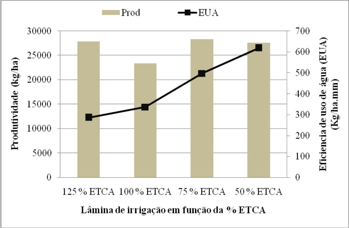 EFEITO DA IRRIGAÇÃO NA PRODUÇÃO DA CULTURA DE ALFACE (Lactuca sativa L.