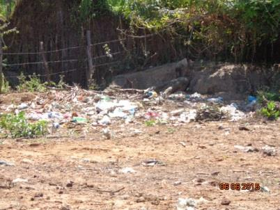 Figura 93 Veículo utilizado para a coleta de resíduos sólidos domiciliares no distrito de Canabrava Fonte: Gerentec, 2015.