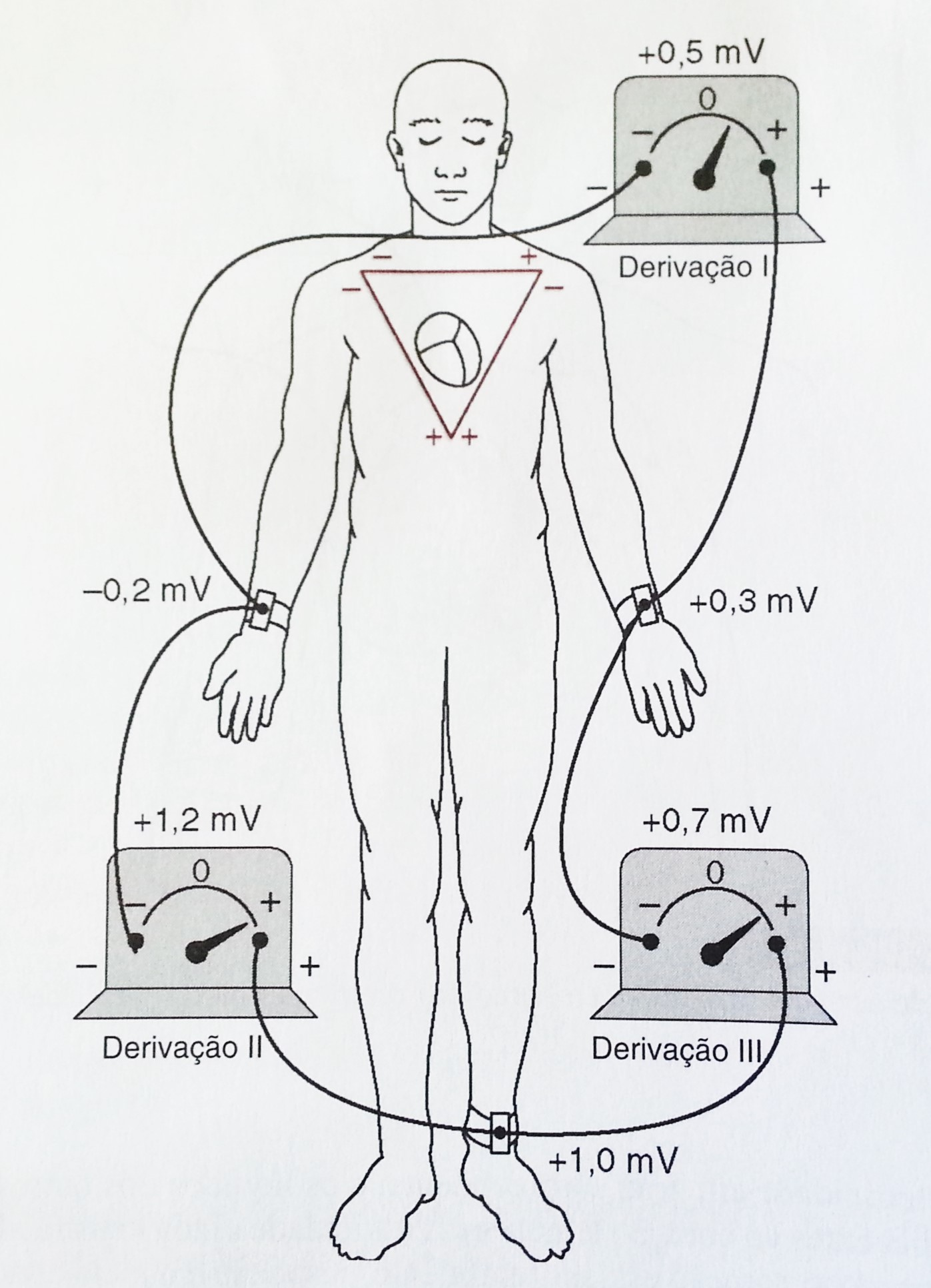 26 o registro dos eletrocardiogramas das derivações bipolares periféricas.