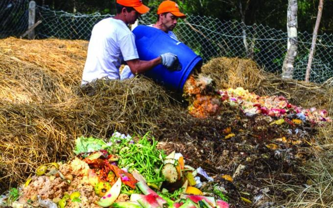 Hspitalar Seringas, agulhas e curativs. Agrícla Embalagens de defensivs agríclas, rests rgânics e prduts veterináris. Especial Pdas de jardins, entulhs de cnstruções e animais mrts.