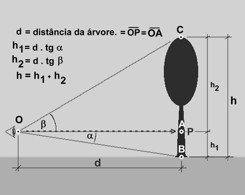 A principal característica deste instrumento é que, para a sua utilização, não há a necessidade de conhecer a distância entre o observador e a árvore.