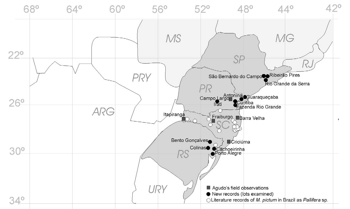 88 S. R. GOMES ET. AL. INTRODUCTION Land slugs are mollusks with a reduced and internal (in most families) or completely absent shell (Runham and Hunter, 1970).