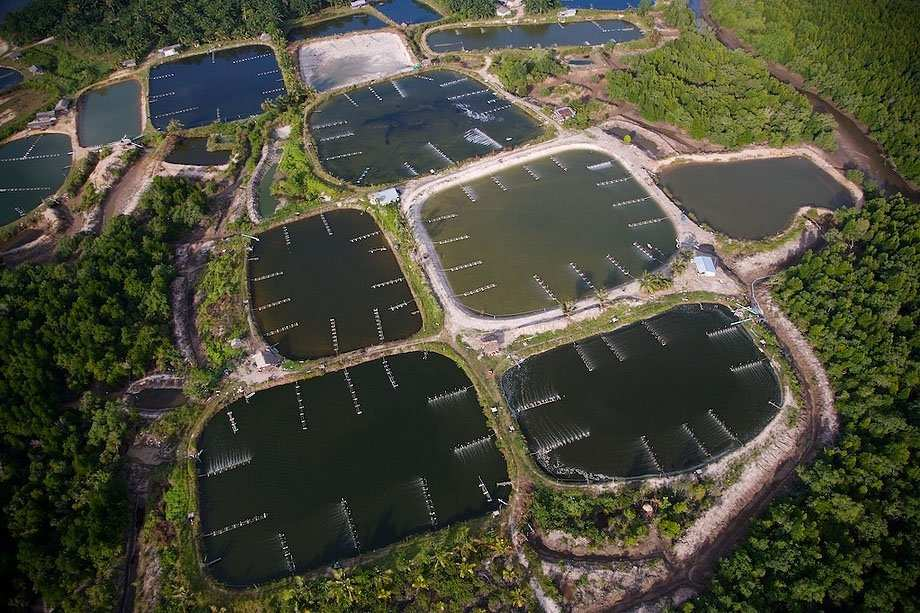 ACESSIBILIDADE DO LOCAL FÁCIL ACESSO A VIATURAS: VIA DE ACESSO EXISTÊNCIA DE